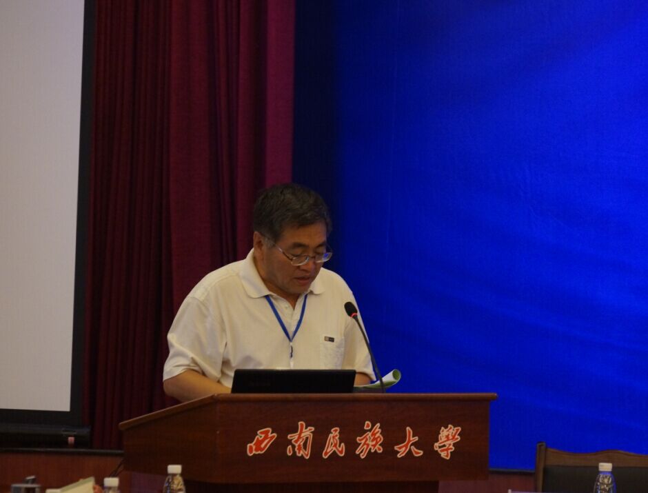 孙久文教授发言.jpg 孙久文教授发言.jpg